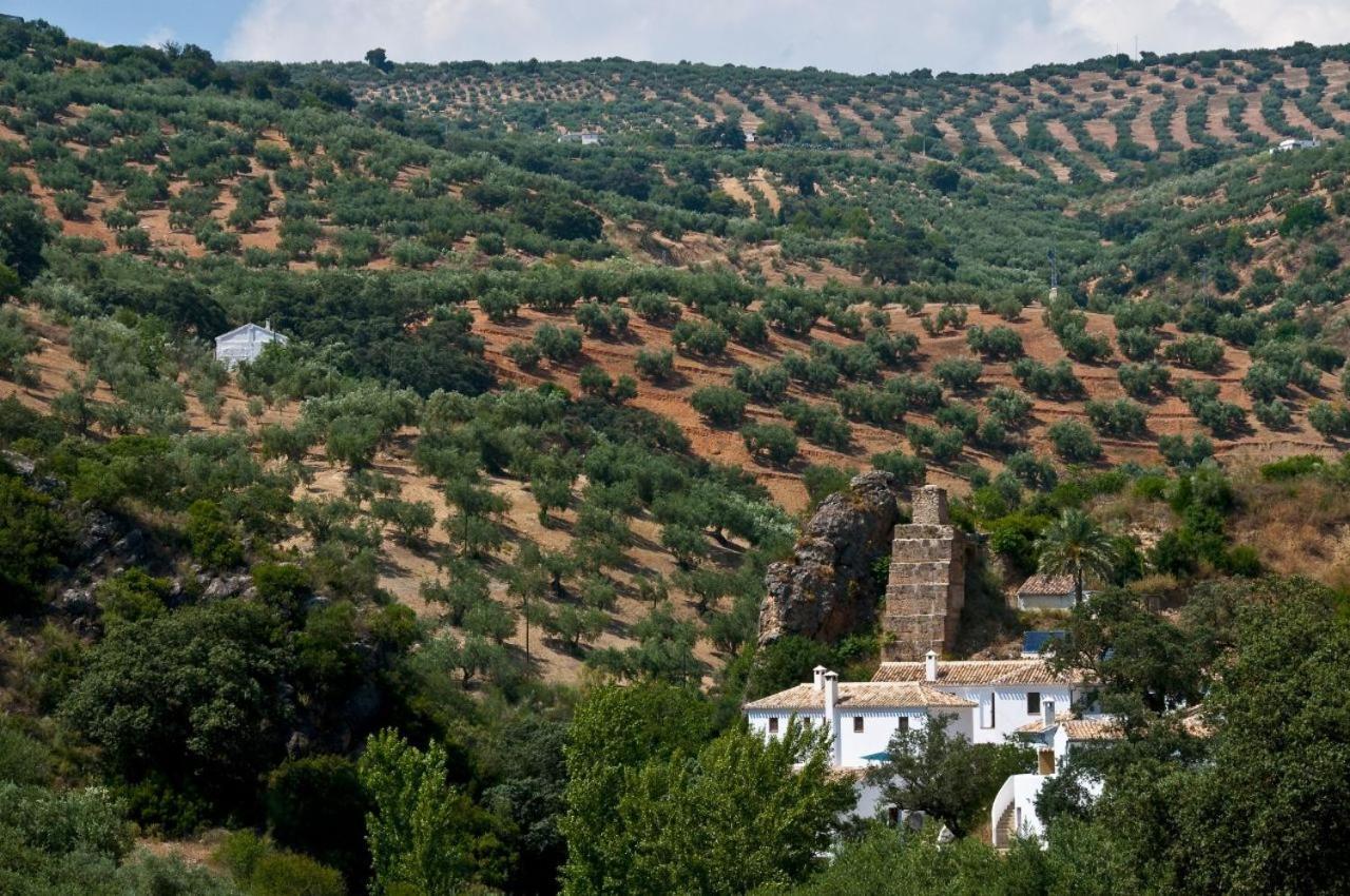 Molino La Ratonera Holiday home