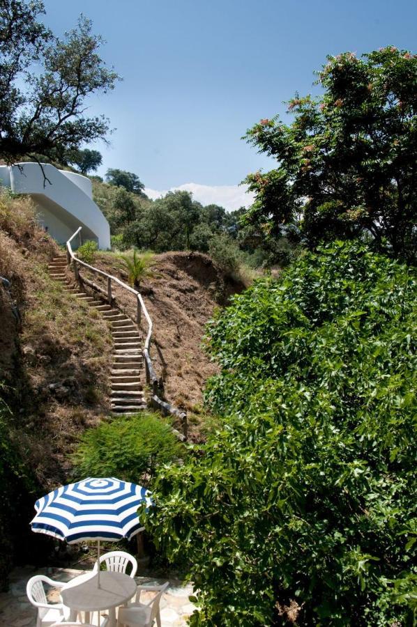 Molino La Ratonera Holiday home *